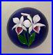 Large-4in-Victor-TRABUCCO-ORCHID-Flower-Art-Glass-PAPERWEIGHT-Signed-1986-01-ao