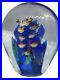 MURANO-Art-Glass-Hand-Blown-School-of-Fish-Coral-Aquarium-Paperweight-2-Sided-01-cct