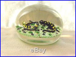 Magnum Art Glass Spotted Salamanders Signed Paperweight signed JOHN DEACONS