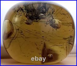 Massive 3.75LB Chaos Bubble Amber Art Glass Round Orb Paperweight Amazing