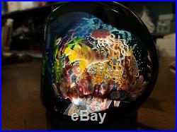 Mayauel Ward Studio Art Glass PAPERWEIGHT 5 X 4 LARGE AQUARIUM FISH with LIGHT