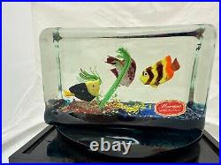 Murano Glass Fish Aquarium Rectangle Block