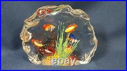 Murano Hand Blown 6 Fish Tank 8 Art Glass Signed Aldo Scagnetti 1950/60s Mint