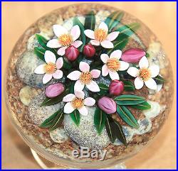 NEW Cathy RICHARDSON Alpine Spring Beauty Encased Art Glass Paperweight