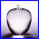 NEW-in-BOX-PERFECT-STEUBEN-glass-APPLE-ornamental-paperweight-crystal-heart-NYC-01-kxn