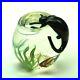 New-Art-Glass-Paperweight-By-Correia-Art-Glass-Cat-In-The-Fishbowl-Signed-01-tfxz