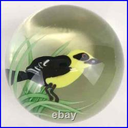 Orient & Flume Yellow Headed Blackbird Lampwork 1985 Seaira Paperweight Bag Cert