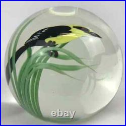 Orient & Flume Yellow Headed Blackbird Lampwork 1985 Seaira Paperweight Bag Cert