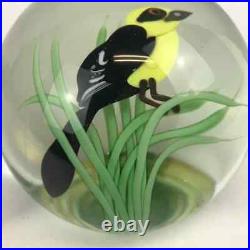 Orient & Flume Yellow Headed Blackbird Lampwork 1985 Seaira Paperweight Bag Cert