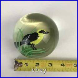 Orient & Flume Yellow Headed Blackbird Lampwork 1985 Seaira Paperweight Bag Cert