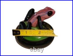 Orient and Flume Signed Smallhouse 154/1000 Pink Poison Dart Frog Art Glass