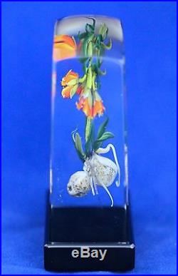 Outstanding STANKARD Rare Form IMPERIAL LILY Experimental ART Glass PAPERWEIGHT