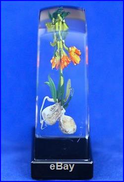 Outstanding STANKARD Rare Form IMPERIAL LILY Experimental ART Glass PAPERWEIGHT
