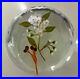 PAUL-STANKARD-Chokeberries-and-Blossoms-Glass-Paperweight-A178-1978-01-dea