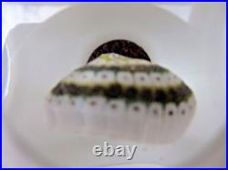 Paperweight Millefiori Cased Art Glass Faceted w White Cut into Clear Vintage
