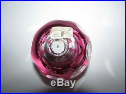 Perthshire Cranberry Overlay Performing Circus Seal Art Glass Paperweight 605