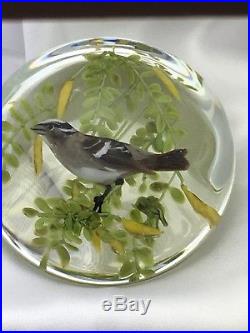 RARE In Box RICK AYOTTE Sparrow Glass PAPERWEIGHT Signed Numbered 9/50