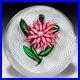 Rare-antique-Saint-Louis-pink-aster-on-a-latticinio-swirl-glass-paperweight-01-xqe