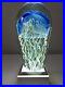 Richard-Satava-Art-Glass-Jelly-Fish-Paperweight-Signed-Numbered-Dated-1995-01-giim