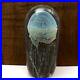 Richard-Satava-Art-Glass-Jellyfish-Moon-Sculpture-Paper-Weight-1997-96-01-ws