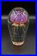Richard-Satava-Art-Glass-Jellyfish-Purple-Sculpture-Paperweight-5-READ-DAMAGE-01-kh