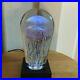 Richard-rick-Satava-Studio-Art-Glass-Jellyfish-Sculpture-paperweight-Nice-One-01-wtzt