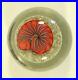 Rick-Satava-Art-Glass-Red-Nautilus-on-Cream-Paperweight-Signed-Numbered-2051-02-01-sqc