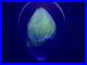 Robert-Eickholt-Art-Glass-Paperweight-Signed-1997-SCULPV3-Uranium-Vaseline-5-01-jesi