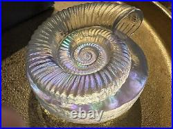 Robin Lehman Ammonite Art Glass Paperweight Initialed Dated L16 Ocean Decor