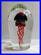 Rollin-Karg-Art-Glass-Jellyfish-Sculpture-Paperweight-Beautiful-01-dsxu