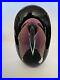 Ron-Schuster-Studios-Art-Glass-Paperweight-Signed-SGS-101-USA-01-vewa