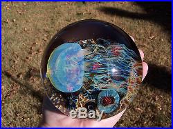Satava Sideswimmer Moon Jellyfish Magnum Paperweight Signed Art Glass Sculpture