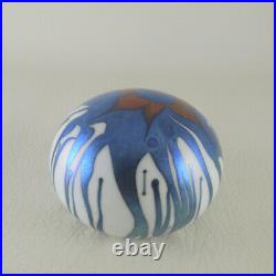 STEVE SMYERS White Red & Iridescent Blue Floral or Star Art Glass Paperweight