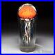Satava-Art-Glass-Orange-Pacific-Coast-Jellyfish-high-domed-glass-paperweight-01-br