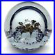 Selkirk-Art-Glass-Scotland-Sovereign-Signed-Numbered-99-500-Vtg-80-s-Paperweight-01-bta