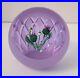 Signed-Caithness-Highland-Posy-Alexandrite-Art-Glass-Paperweight-1448-01-ehy