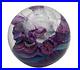 Signed-Carmen-D-Aquila-Multi-Color-Purple-Dichroic-Art-Glass-Paperweight-B-621-01-whn