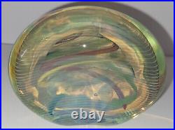 Signed Irving Slotchiver Fumed Art Glass Paperweight/Sculpture 1471