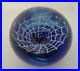 Signed-Wilkerson-Black-Spider-in-Web-Blue-Studio-Art-Glass-Paperweight-01-bk