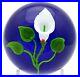Spectacular-VICTOR-TRABUCCO-Blossoming-White-CALLA-LILY-Art-Glass-PAPERWEIGHT-01-jk