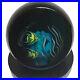 Steven-Correia-Vintage-Glass-Paperweight-Fish-Seaweed-Signed-Dated-Numbered-Blue-01-iiz