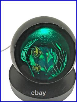 Steven Correia Vintage Glass Paperweight Fish Seaweed Signed Dated Numbered Blue