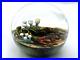 Stunning-Cathy-Richardson-Frog-on-Rain-Forest-Floor-Paperweight-3-EXCELLENT-01-acac