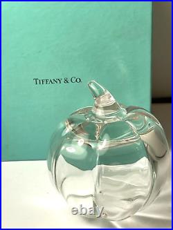 Tiffany & Co Glass Crystal Pumpkin Paperweight Sculpture Art