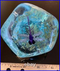 Timothy E Landers Dichroic Glass Dragonfly Moon Rock Paperweight Bubbles