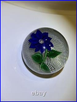 Victorian Era 1850-1899 New England Glass Co Poinsettia Paperweight