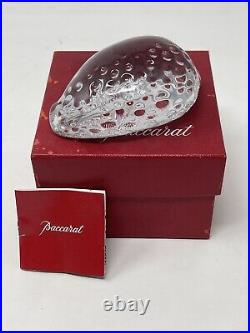 Vintage Baccarat Crystal Cowry/Cowrie Sea Shell Crystal Paperweight Signed
