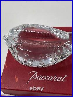 Vintage Baccarat Crystal Cowry/Cowrie Sea Shell Crystal Paperweight Signed