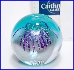 Vintage CAITHNESS Scotland Art Glass Festivity Paperweight in Box & Paperwork