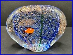 Vintage Murano Art Glass Paperweight Fish Tank Aquarium Sculpture